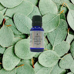 Eucalyptus Essential Oil (Handmade)